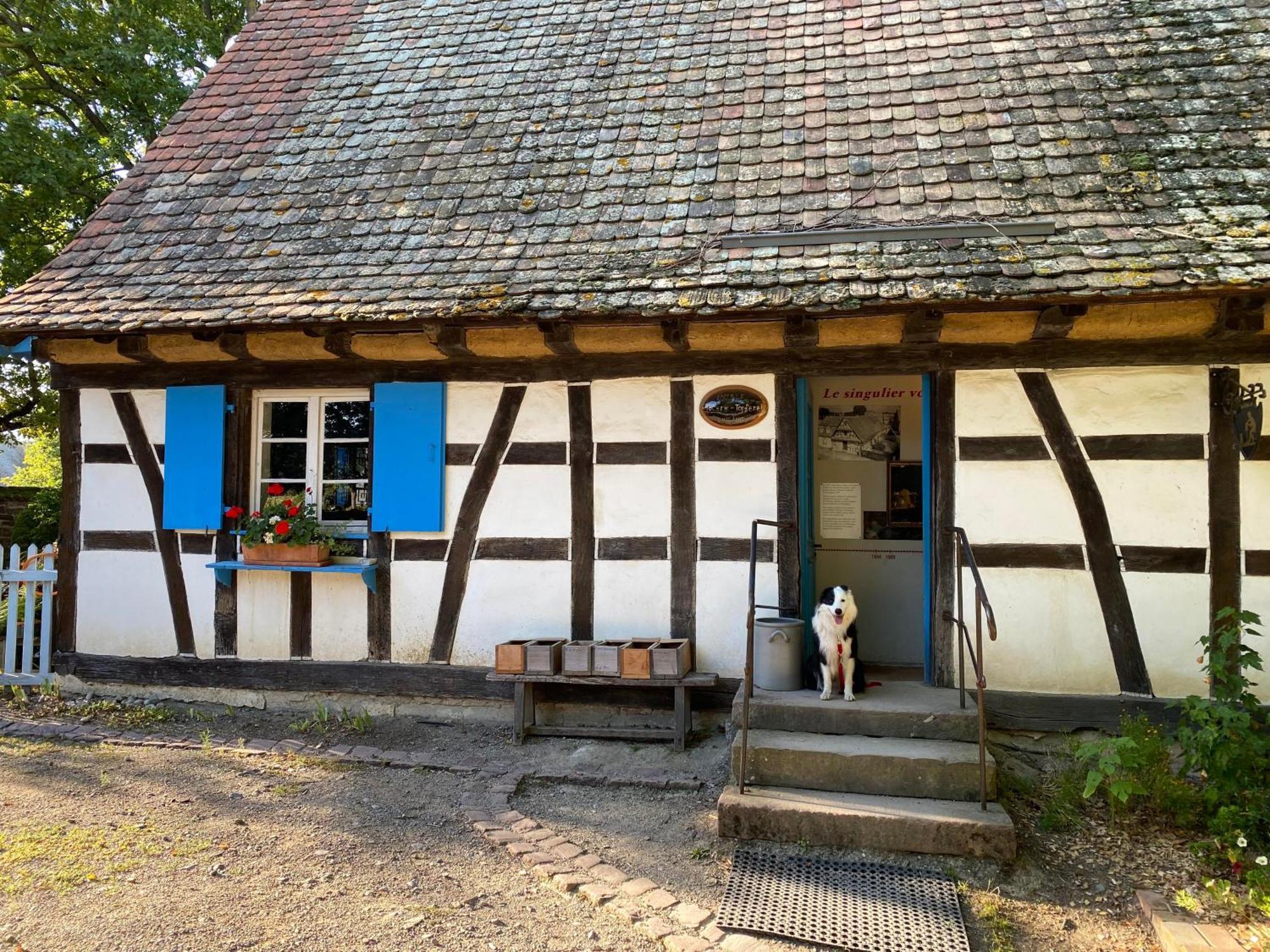 Chambres D'Hotes Des Cascades St-Nicolas Kruth Экстерьер фото
