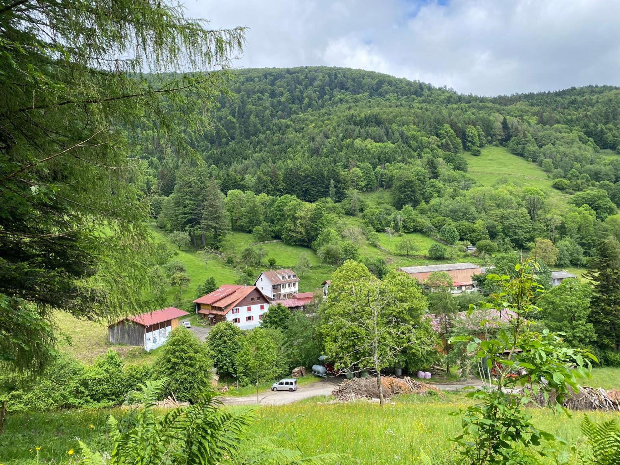 Chambres D'Hotes Des Cascades St-Nicolas Kruth Экстерьер фото